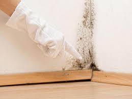  Chatsworth, GA Mold Removal Services Pros